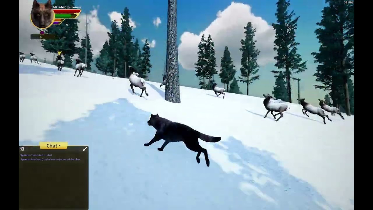 Playing WolfQuest with my friend @SalvationPack 