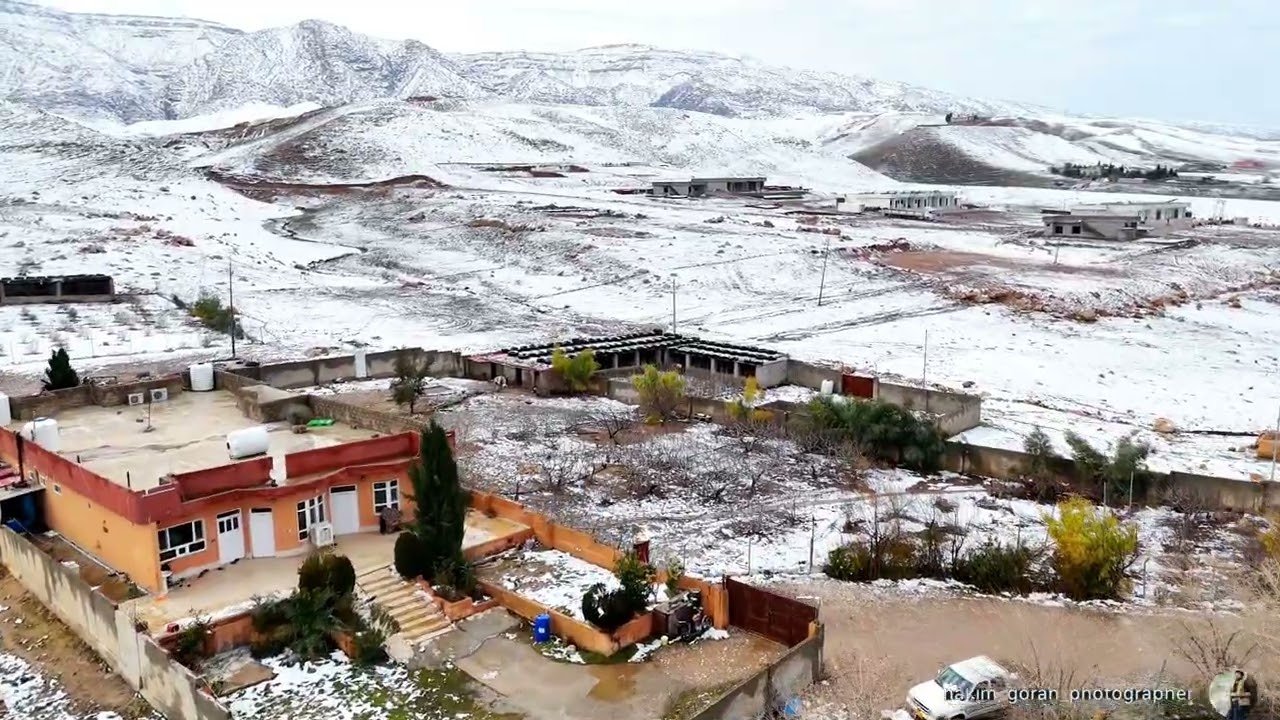 گوندی گلشین بناری چیای مقلوب