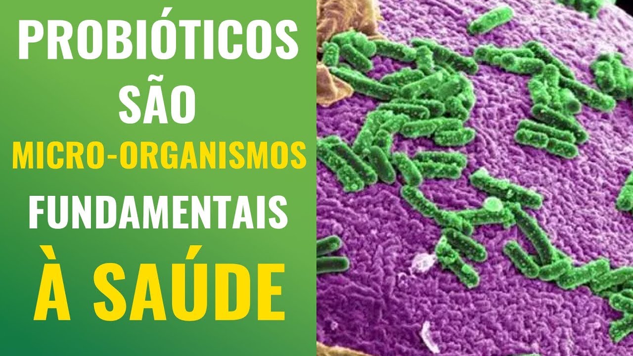 PROBI&Oacute;TICOS S&Atilde;O MICRORGANISMOS FUNDAMENTAIS &Agrave; VIDA.