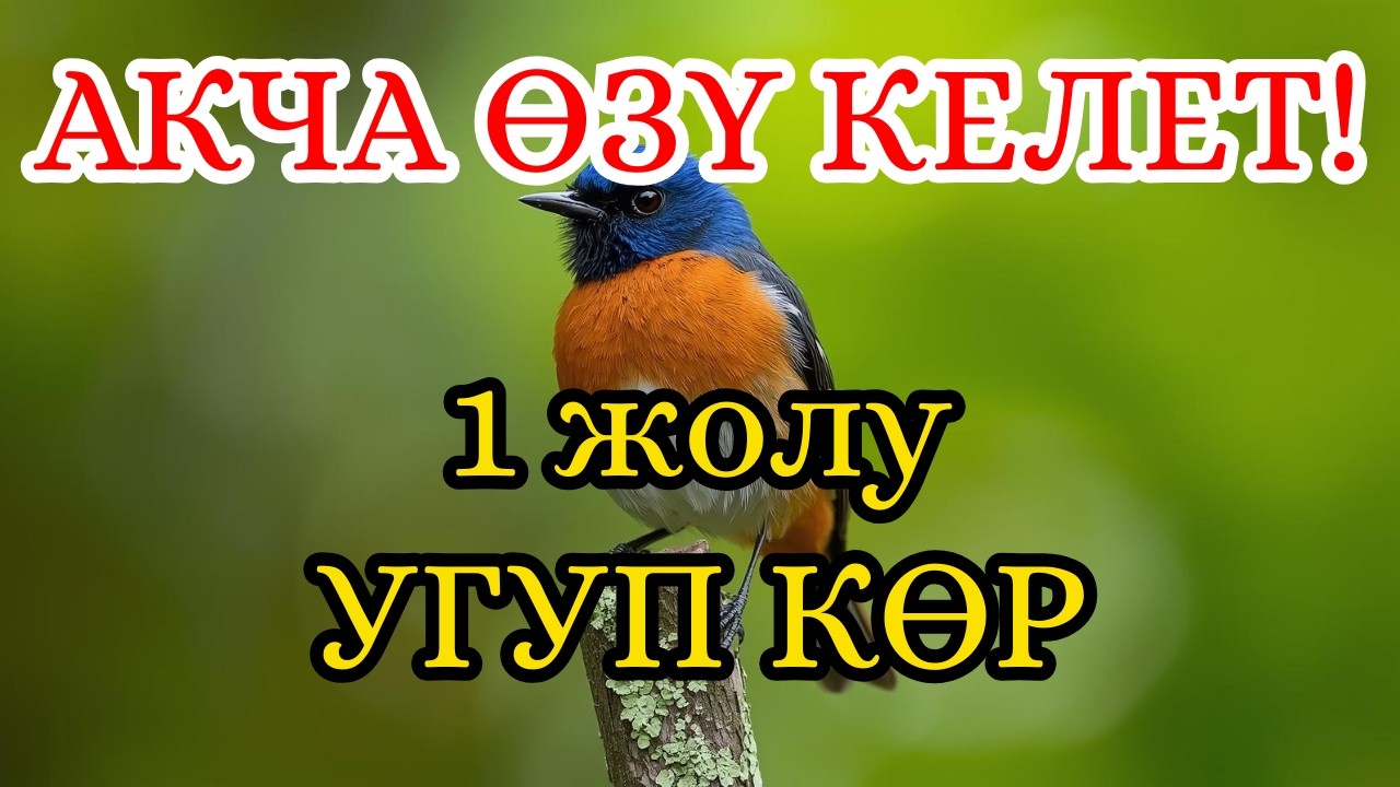1 ДУА – ЧОҢ ӨЗГӨРҮҮ 💰 Акча Эшиги АЧЫЛАТ