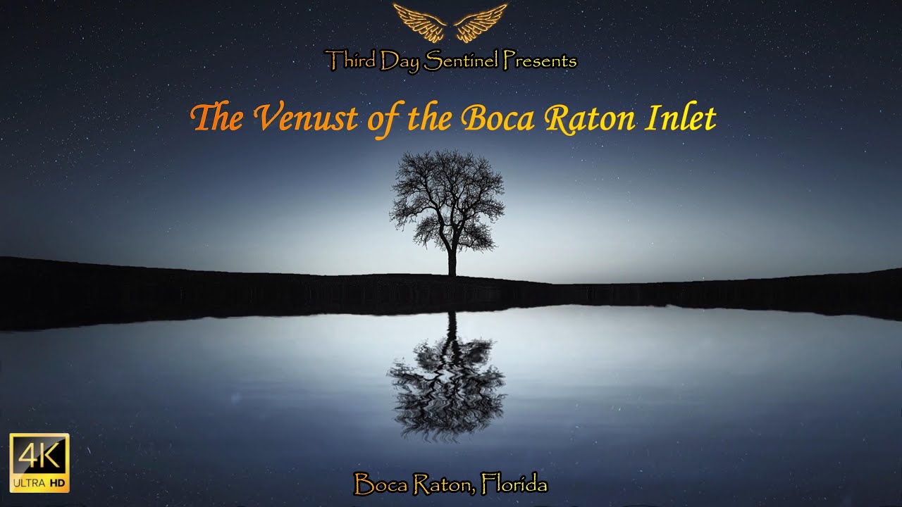The Venust of the Boca Raton Inlet