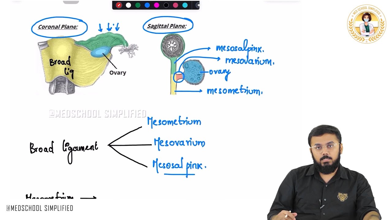 79. Ligaments of Uterus Explained | Anchor of Pelvic Organs | NEET PG/FMGE/USMLE Must-Know🩺