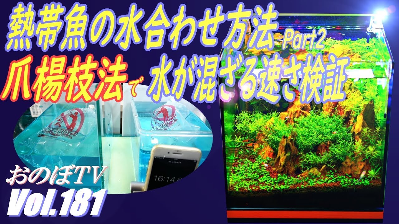 水合わせ「爪楊枝法」水が混ざる速さを検証したら意外な結果が・・・#181