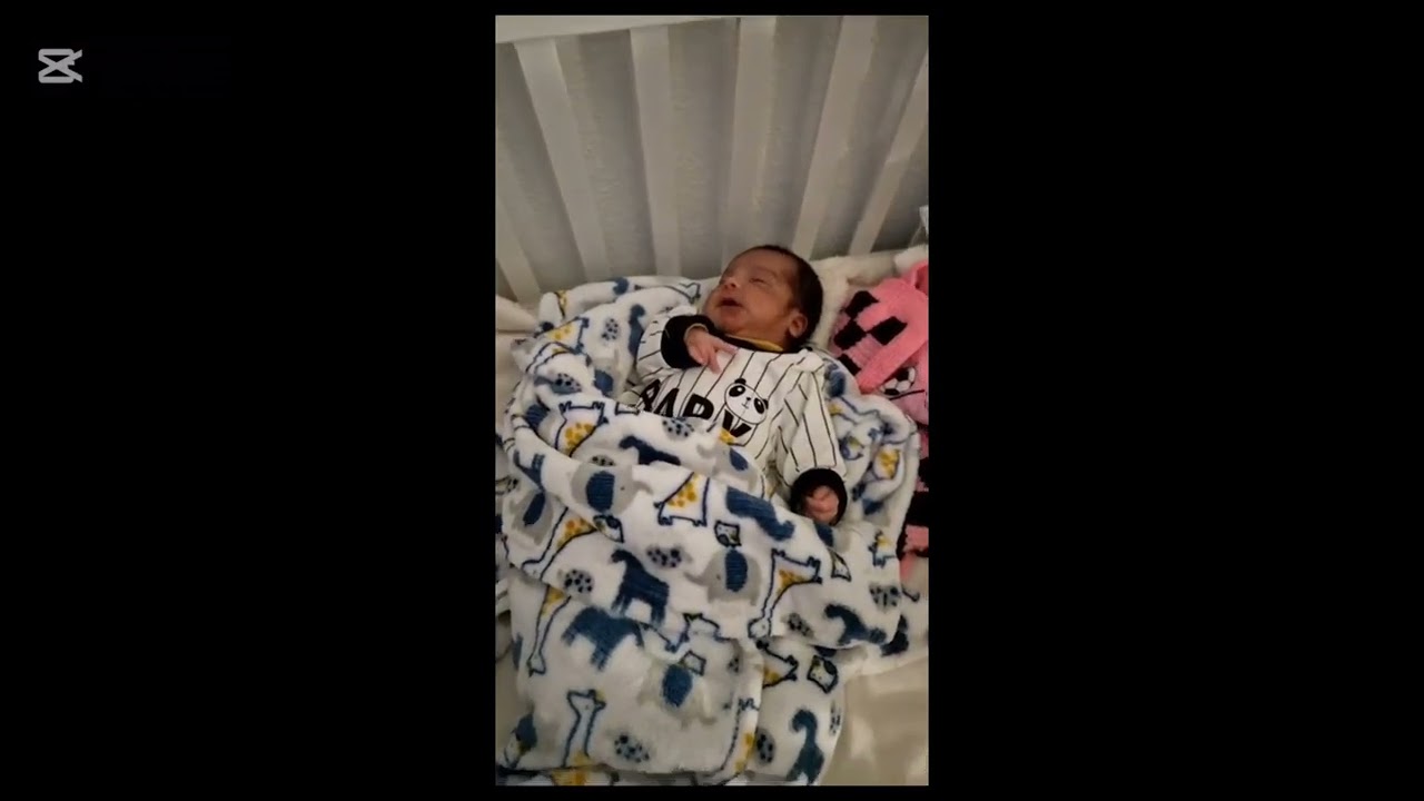 Un resumen de lyan bebe 🥰