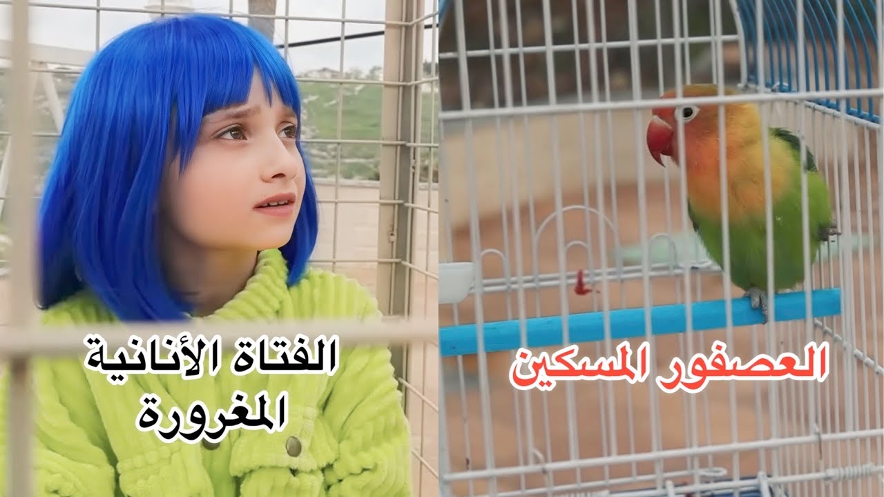 The Selfish Girl Locked the Bird in a Cage…What Happened Next? 😰🐦
