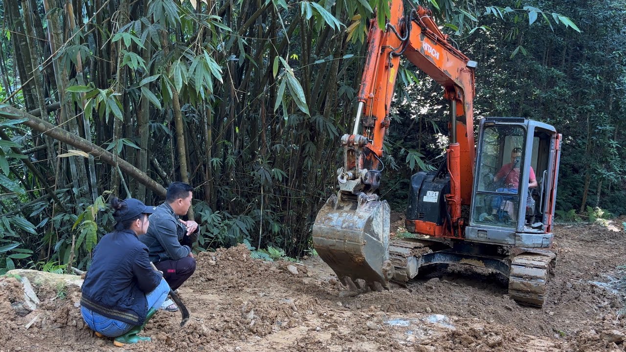 Starting the Timber Harvest Project: Buying a Forested Hill and Repairing the Road into the Woods