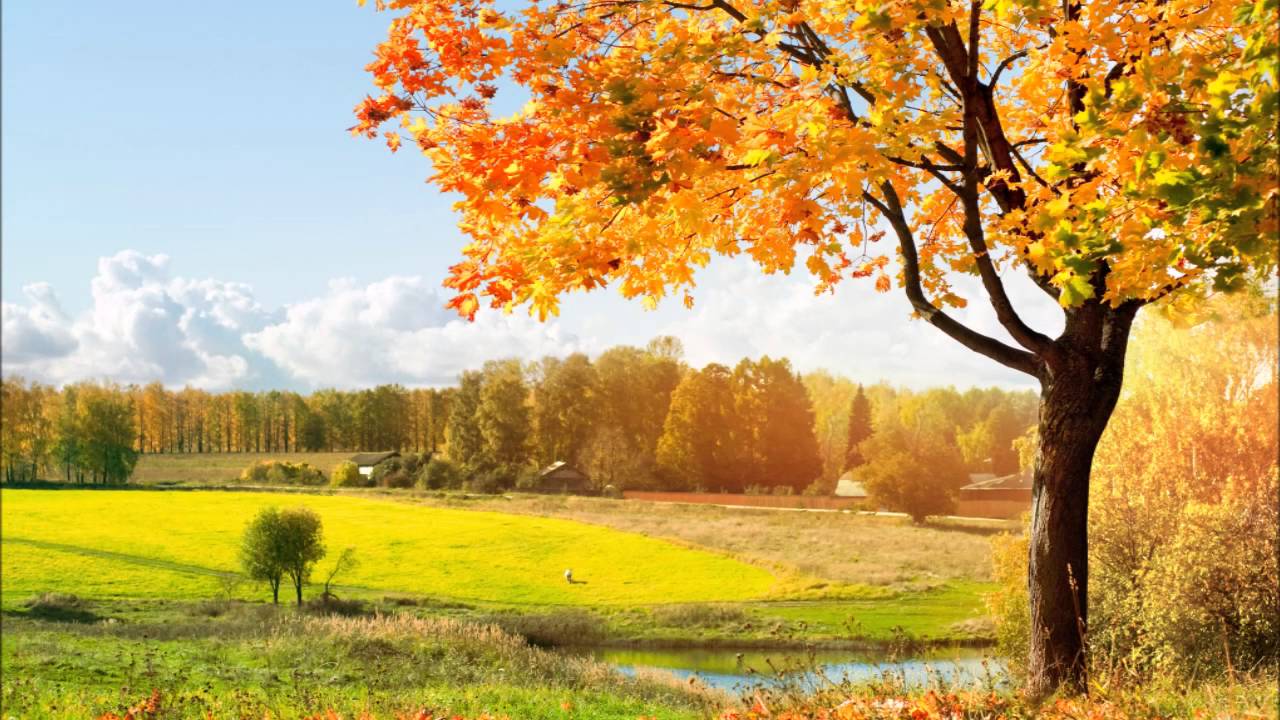 BUONGIORNO - Esercizi per caricarti di positività ed energia al risveglio