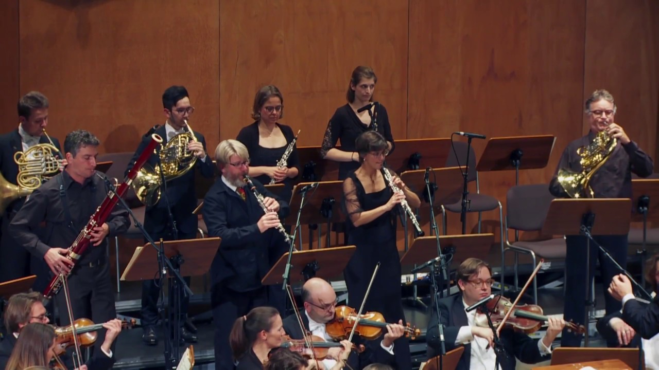 Mozart - Sinfonia Concertante in Es-Dur, KV 297b - Schwarzwald Kammerorchester