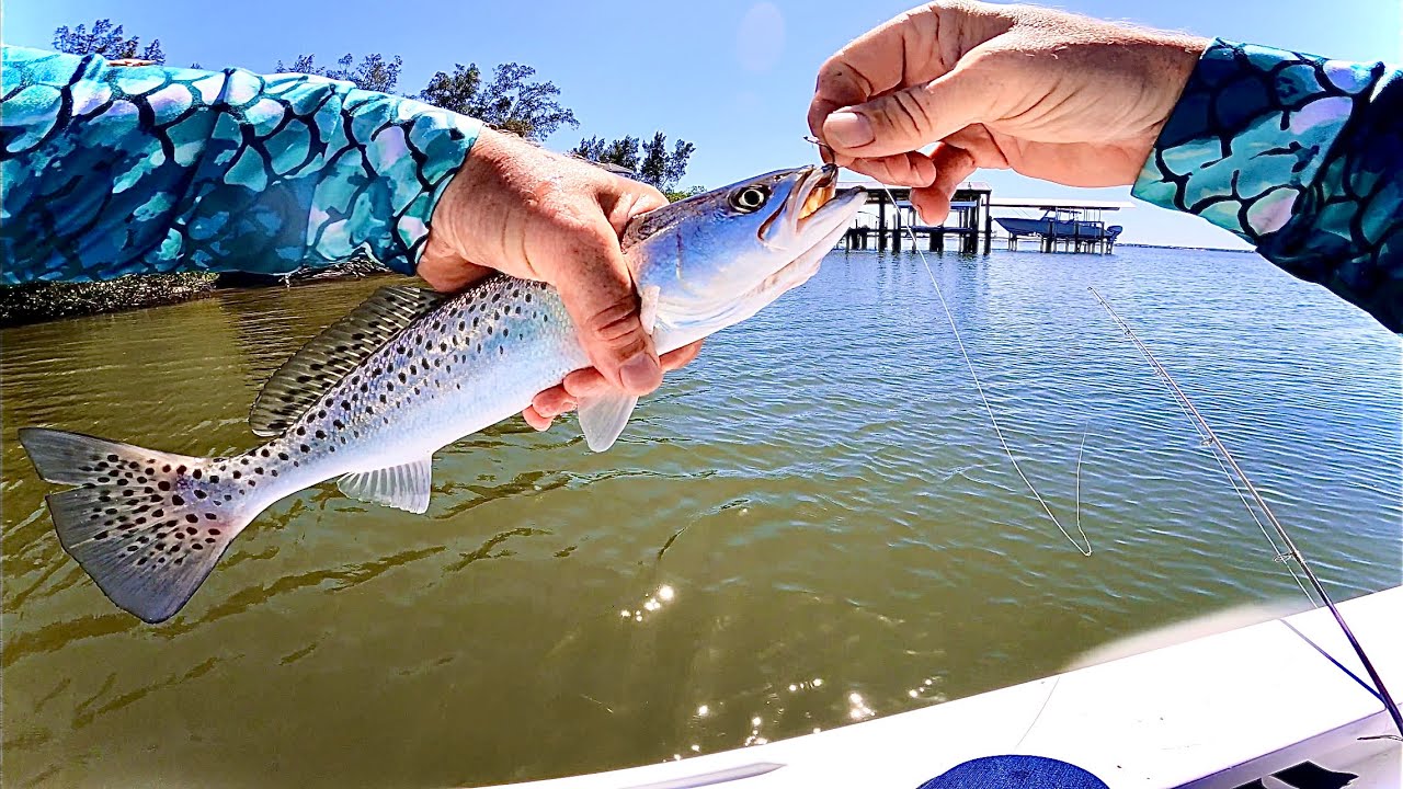 TROUT FISHING IN THE INDIAN RIVER LAGOON