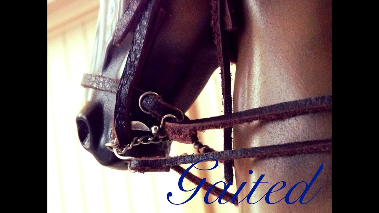 Breyer Horse Movie Gaited Episode 3 