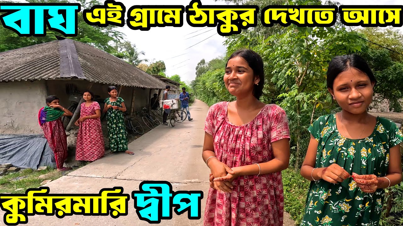 বাঘের ভয়ে বাথরুমে যেতে পারছি না পুজোতে কিভাবে ঘুরতে যাব ! Sundarban village Life | Sundarban