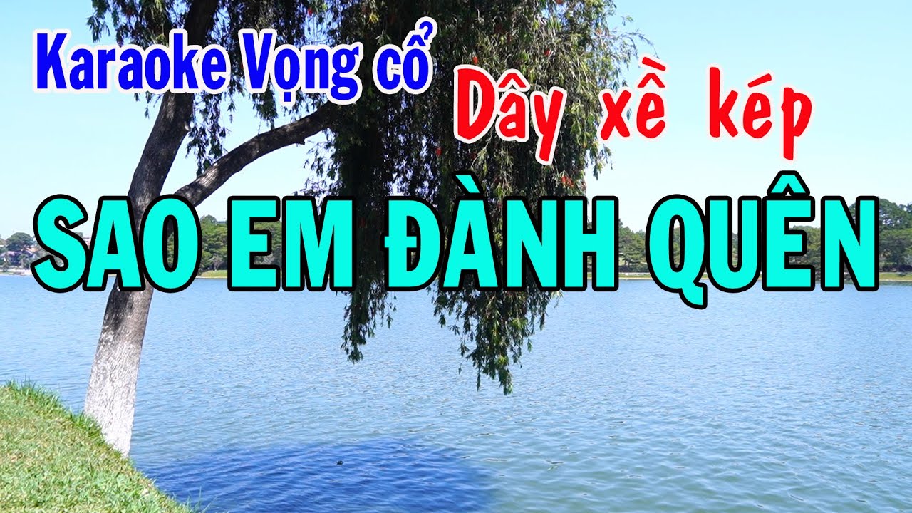 Karaoke vọng cổ SAO EM ĐÀNH QUÊN - DÂY XỀ KÉP