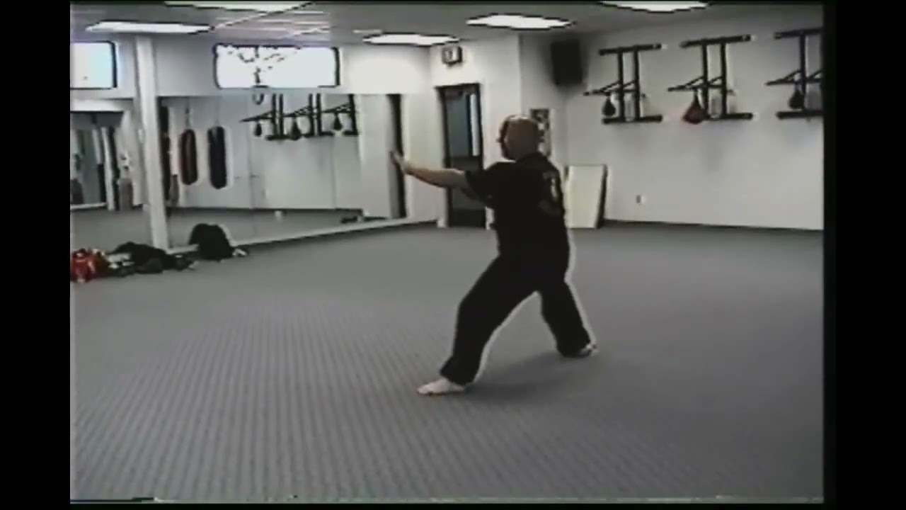 Kosho Ryu Kempo Pinan 1 & 2 (Instructional)