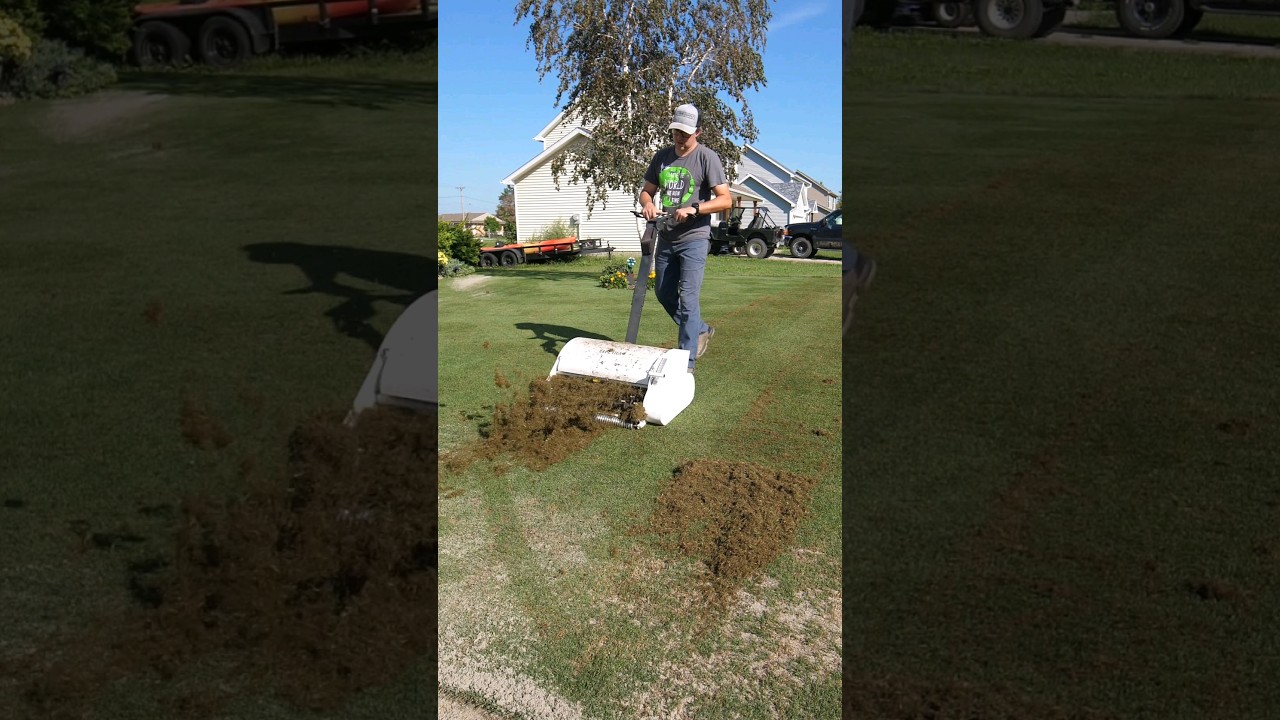 Get rid of that gunk in the lawn! #lawngoals
