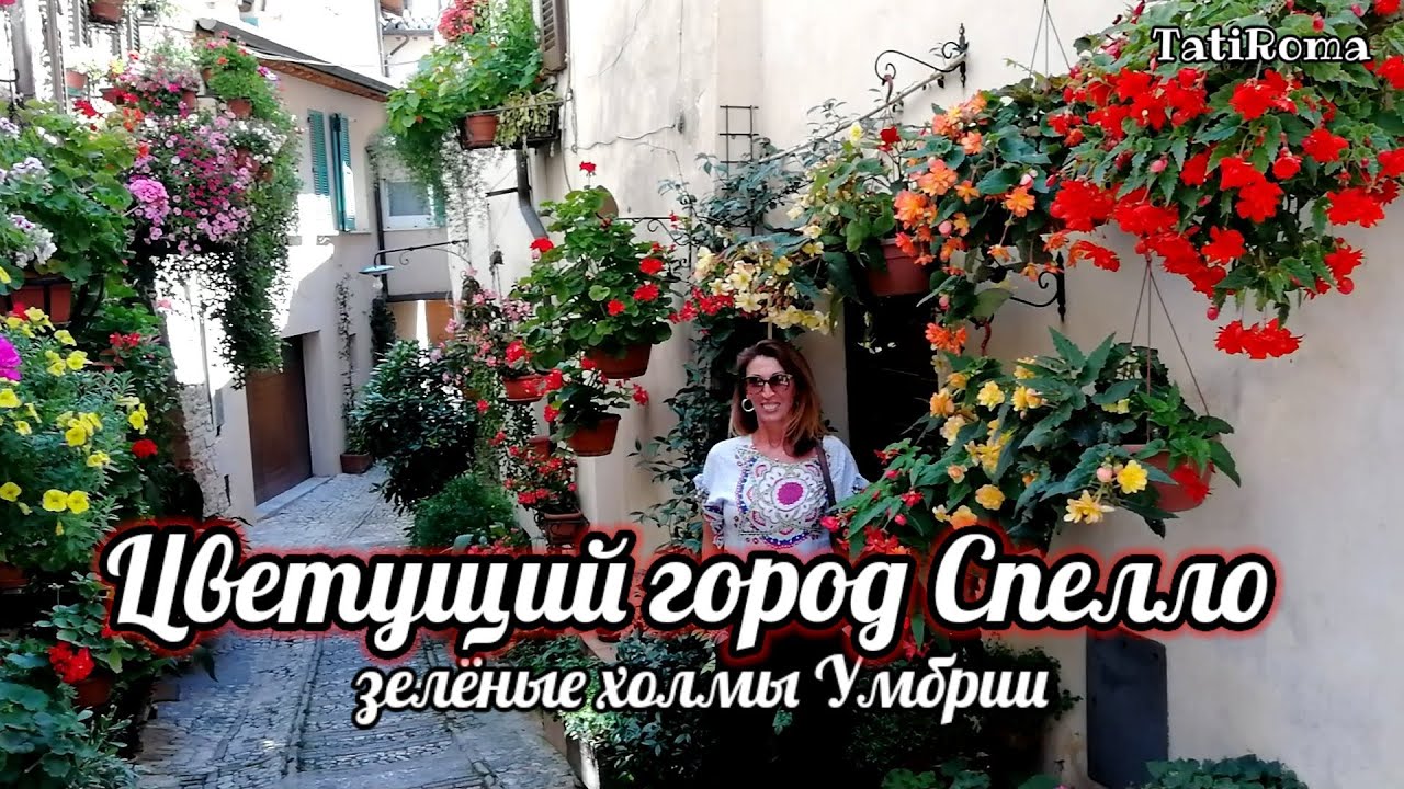 Отпуск в Италии. Зеленые холмы Умбрии. Цветущий город Спелло. На заметку туристам. Лето 2020