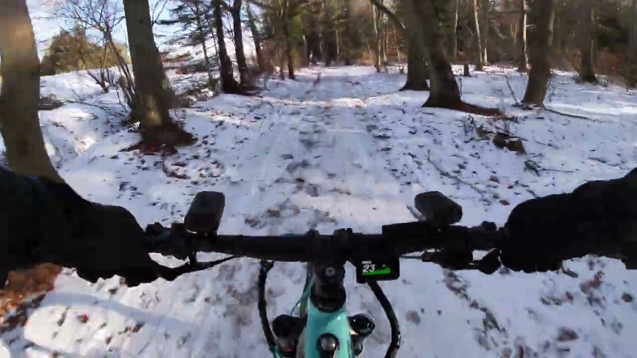 Mtb Amager på fælleden 🚴🚴🏻‍♂️🥶