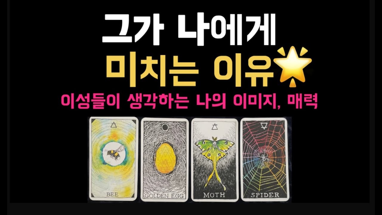 [타로 카드] 이성들이 나를 보는 이미지 l 미치는 포인트 l 나의 매력 l 외적, 내적 에 대한 생각 l 어떻게 어필하면 좋을지, 조언
