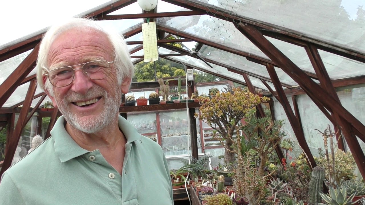 CACTUS PLANT EXPERT Very Large Rare Cacti Private Garden Specialist Collection Essex England UK 2020