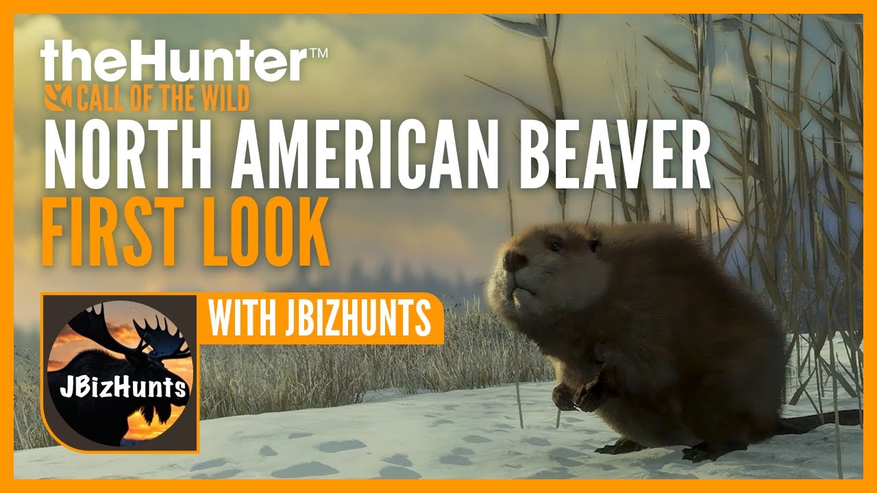FIRST LOOK at beavers on Alberta with @JBizHunts