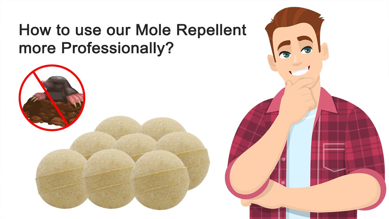 How to use Mole Repellent