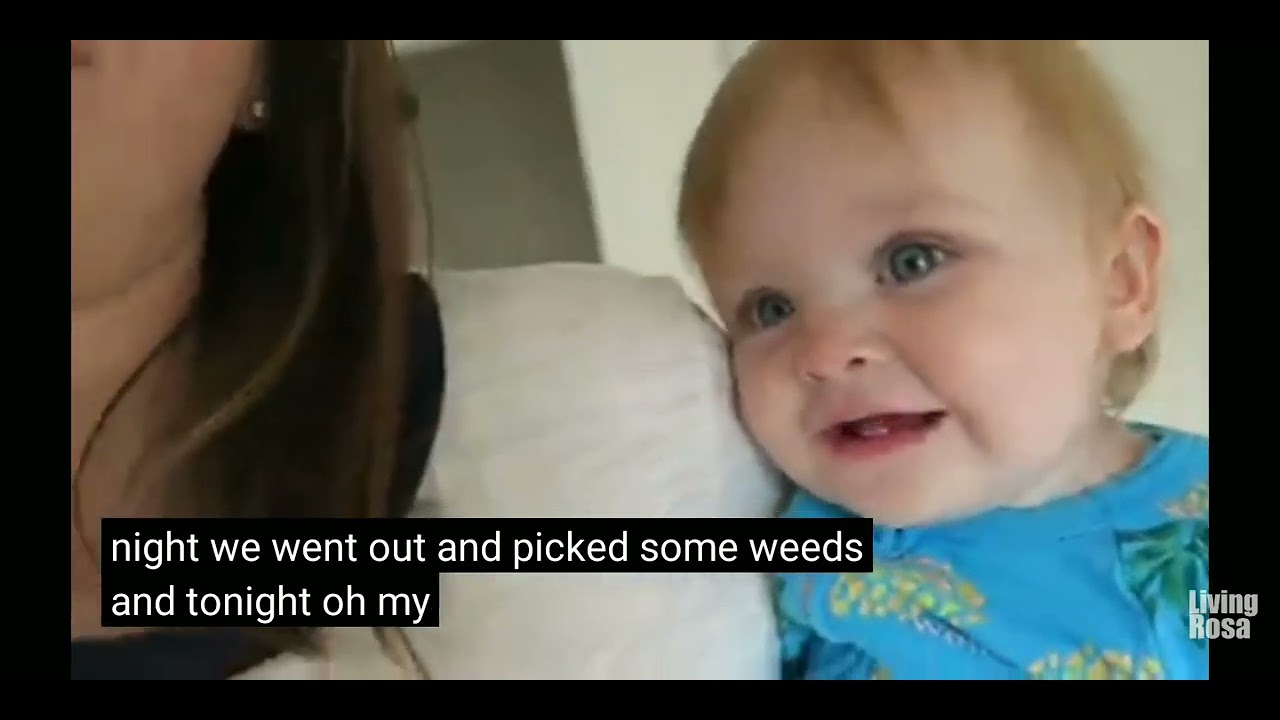 [LIVING ROSA] The Twins' Commotion