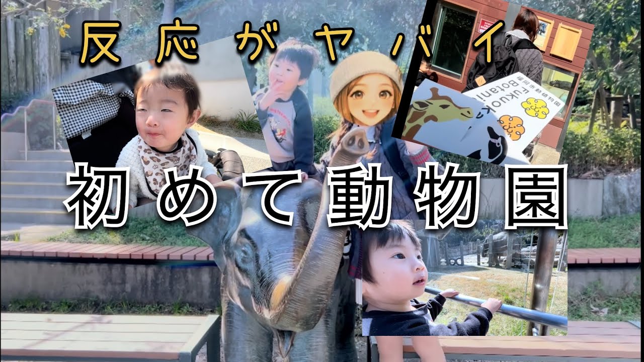 【反応がヤバイ】人生初の動物園！息子たちのリアクションが可愛すぎた