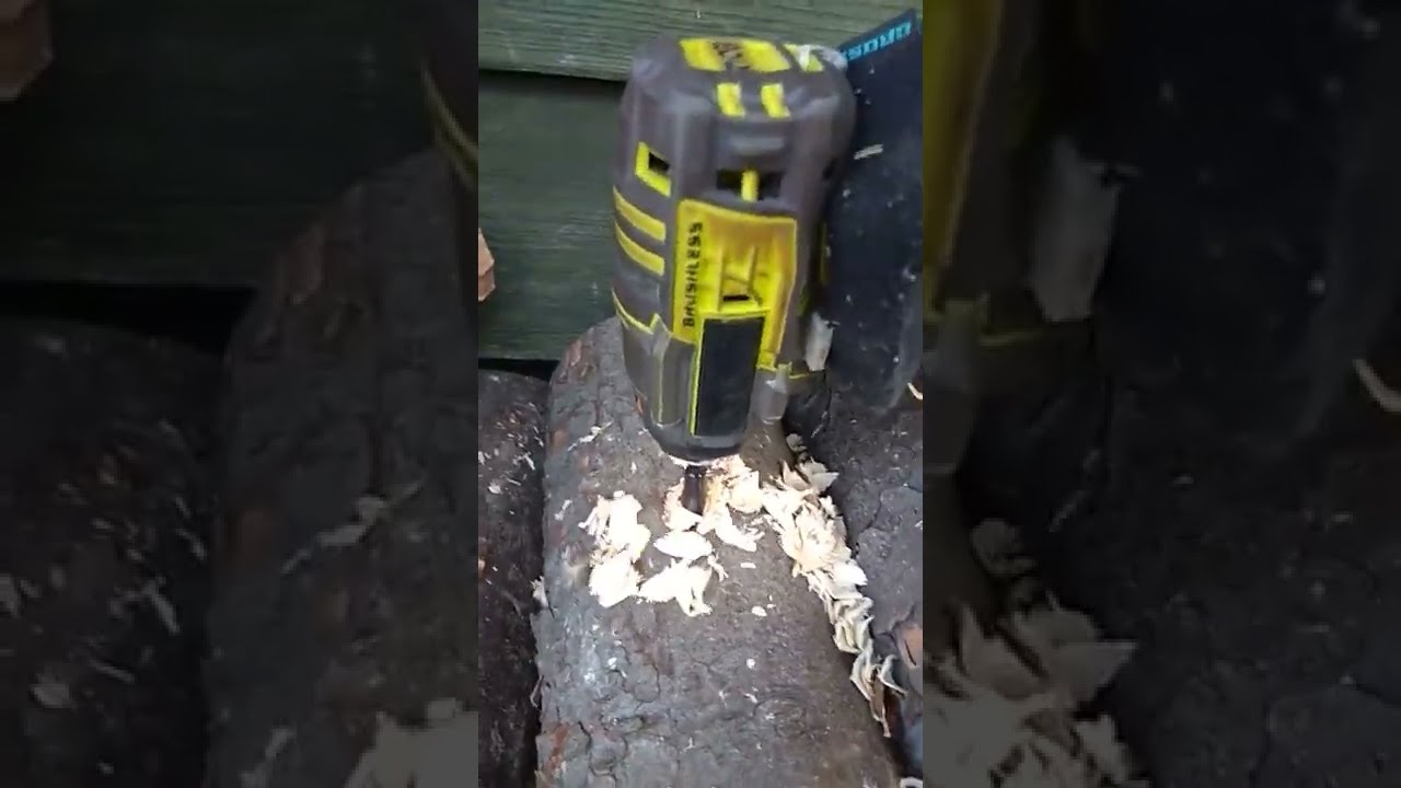 Импакт Ryobi R18IDBL с DeWALT DT90244 Extreme Impact 28mm против сосны и берёзы