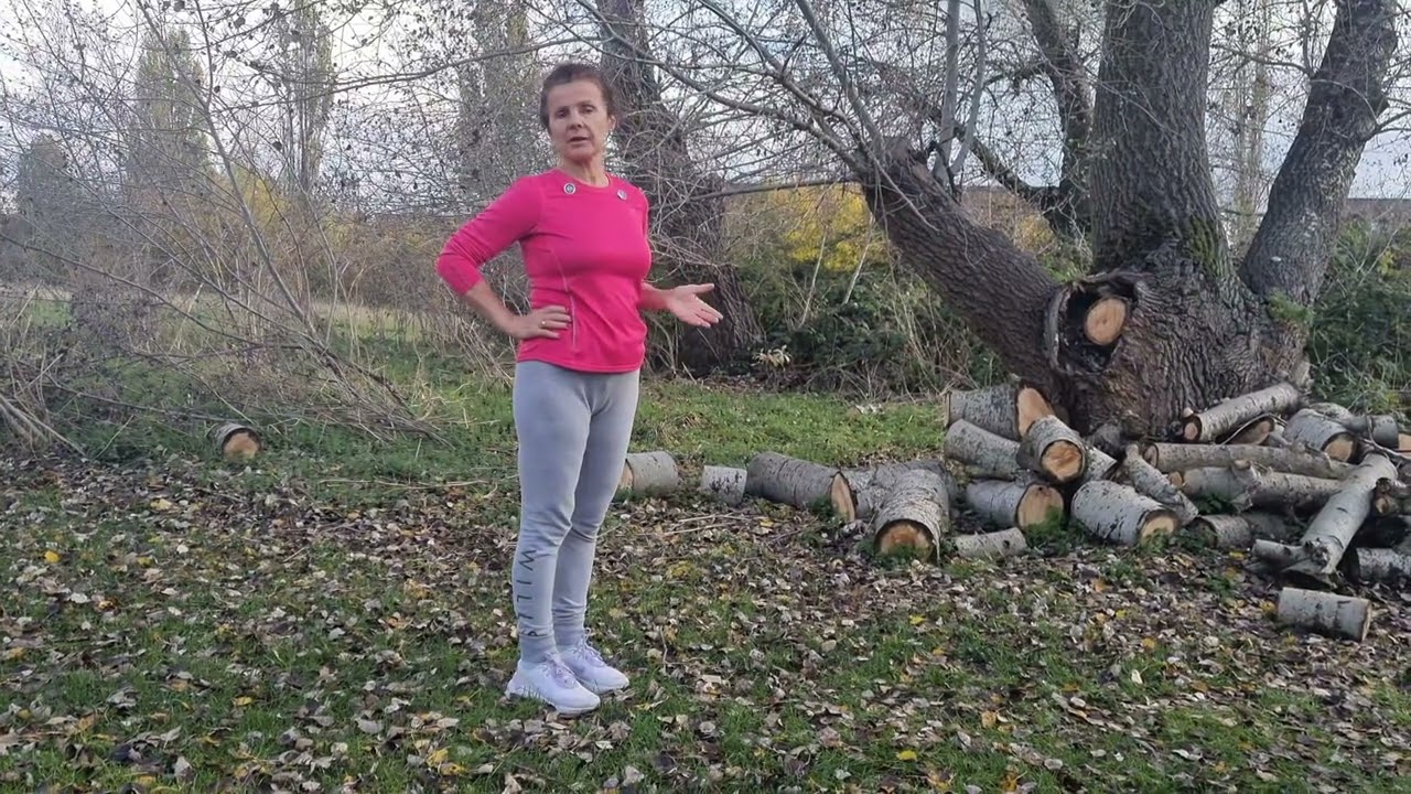 1. Buchimish/БУЧИМИШ-  самоучител по народни танци 