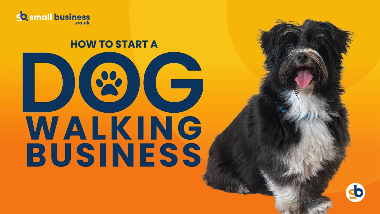 How to Start a Dog Walking Business