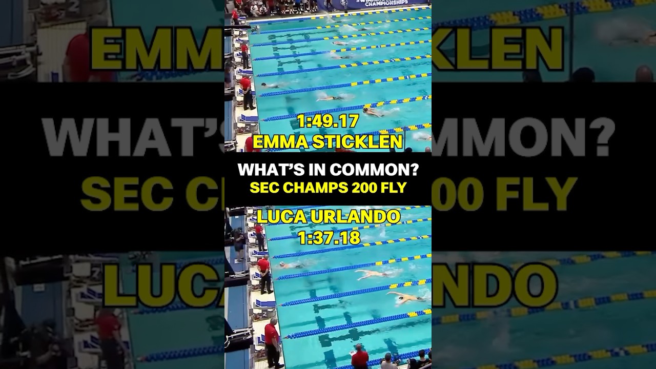 What&rsquo;s in Common?