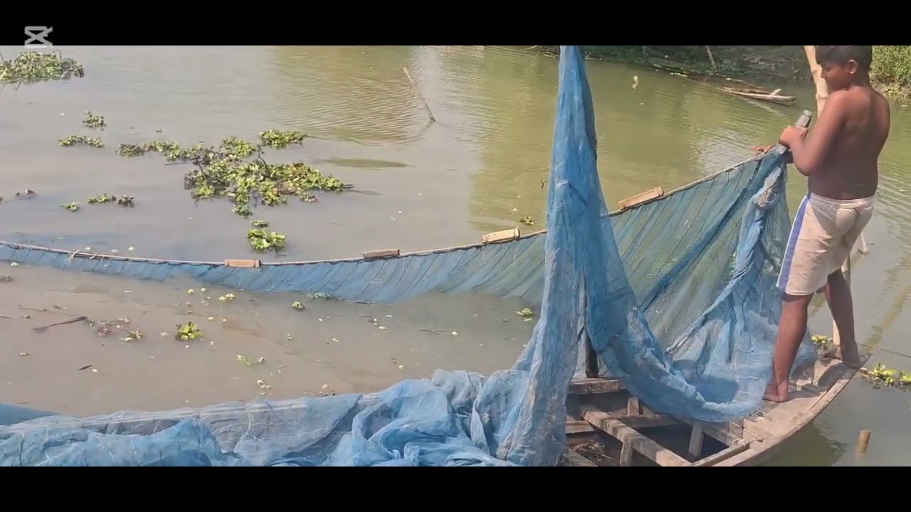 ফরিদপুর জেলা । চৈতার কোল।। ফ্রেশ কোলের মাছ ধরা।। কাঁঠা দিয়ে মাছ ধরা।। 