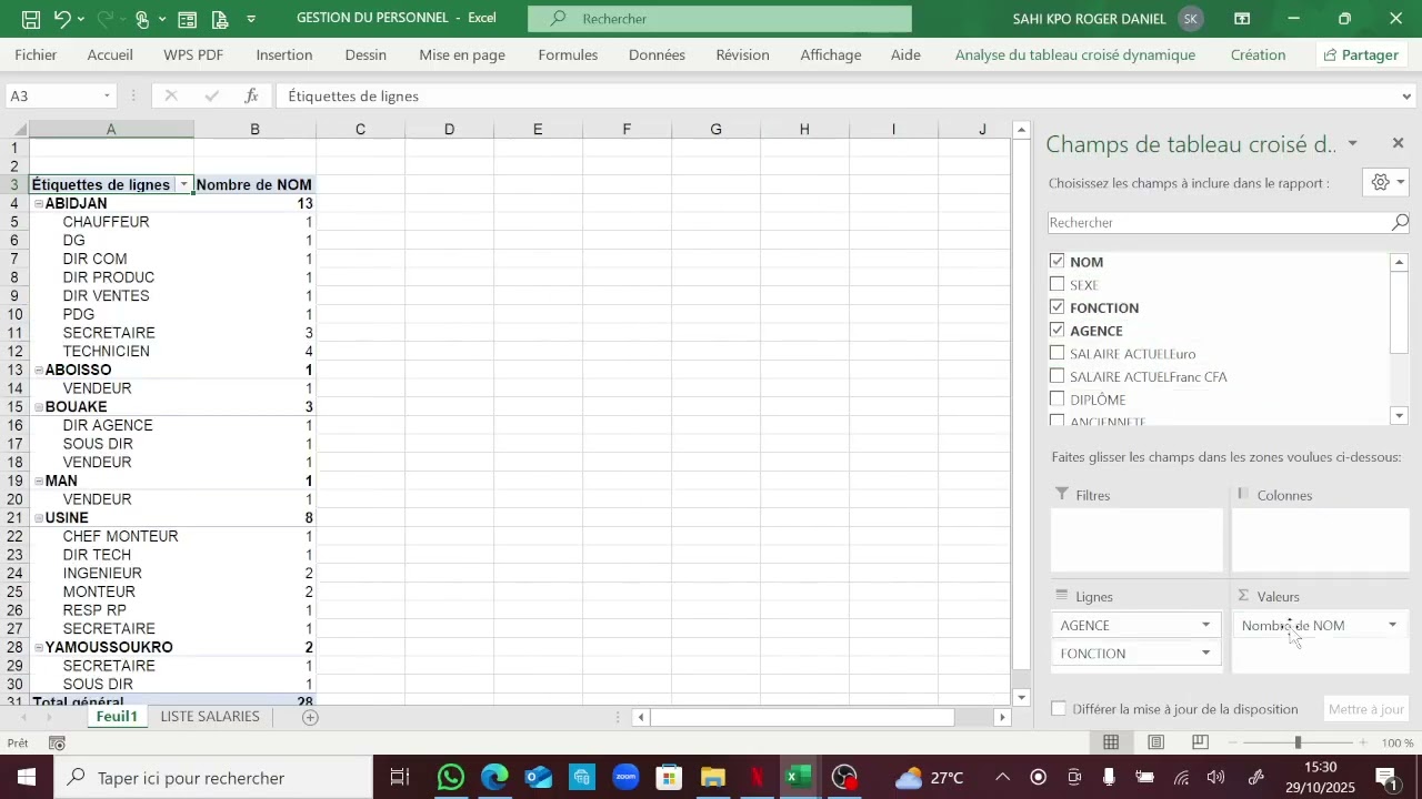 MS EXCEL_ Tableaux croisés dynamiques