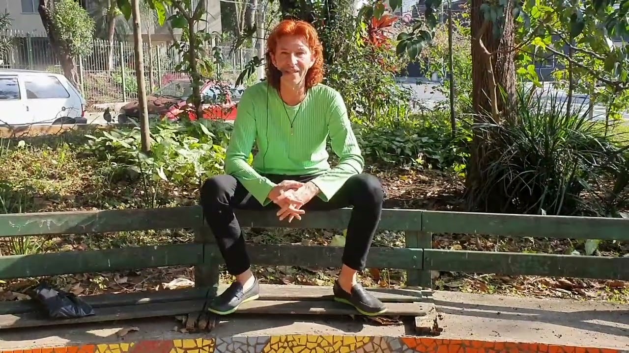 MÚSICA:  O BEIJA-FLOR. 