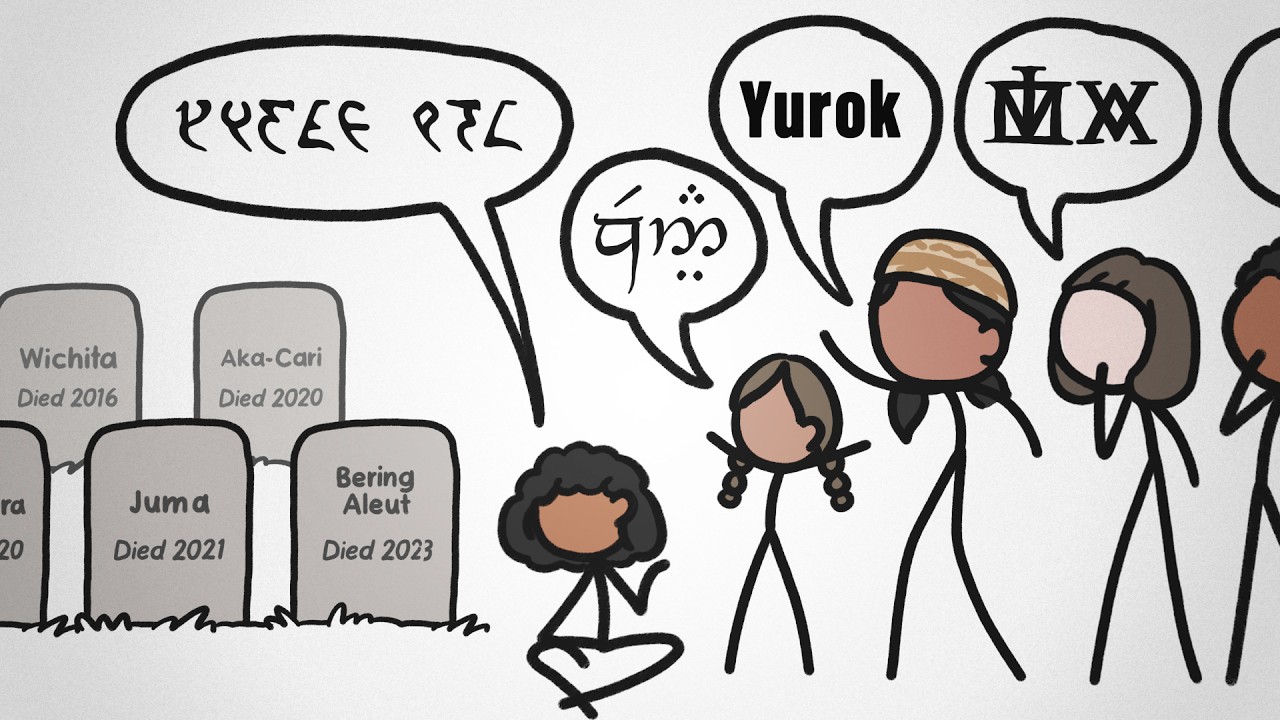 Why is the number of languages 