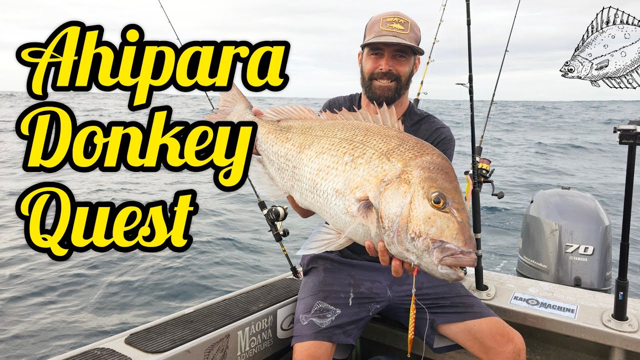 Ahipara Donkey Quest [ Big Snapper on Jigs and Softbait