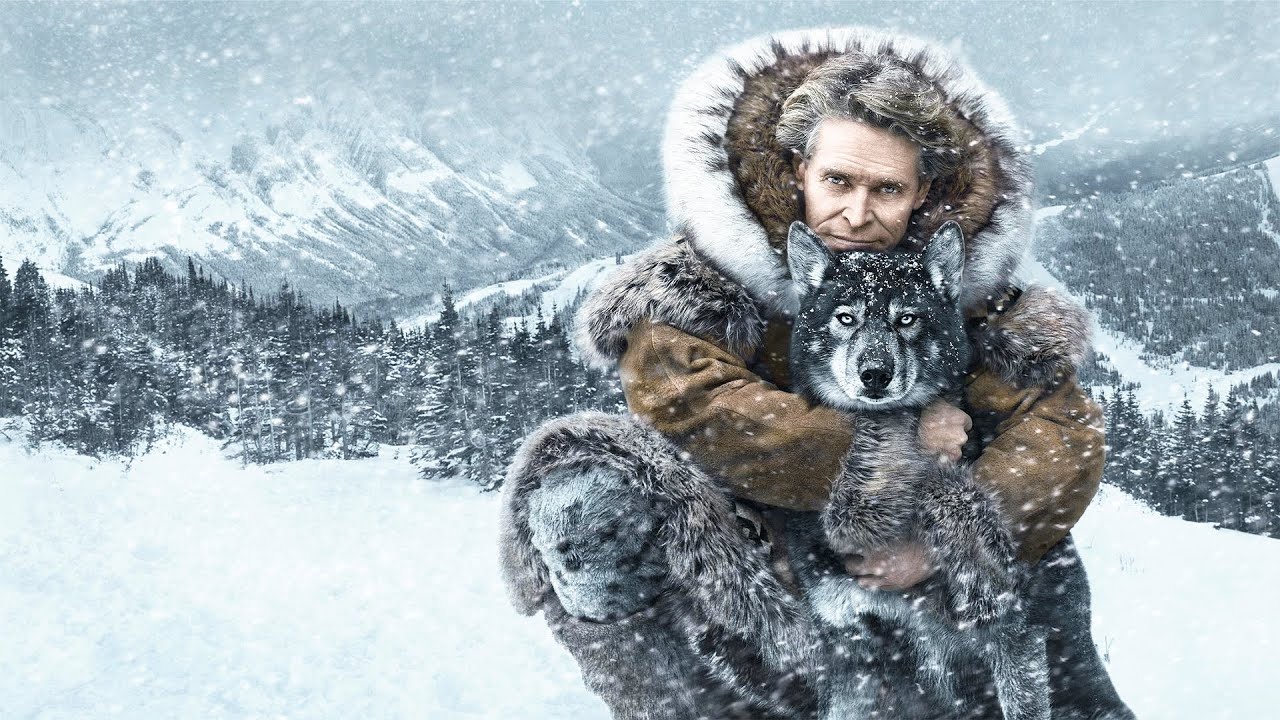 一人十狗在暴风雪中狂奔425公里，拯救了50多个孩子的命，被评为史上最英勇动物，12万人打出8.8高分，19分钟看完2019年真实事件改编传记电影《多哥》