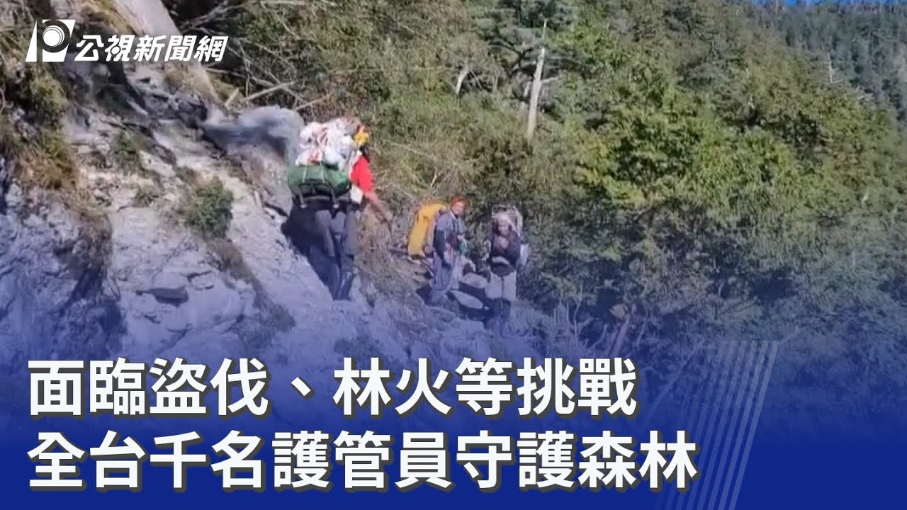 面臨盜伐、林火等挑戰 全台千名護管員守護森林｜20260320 公視晚間新聞