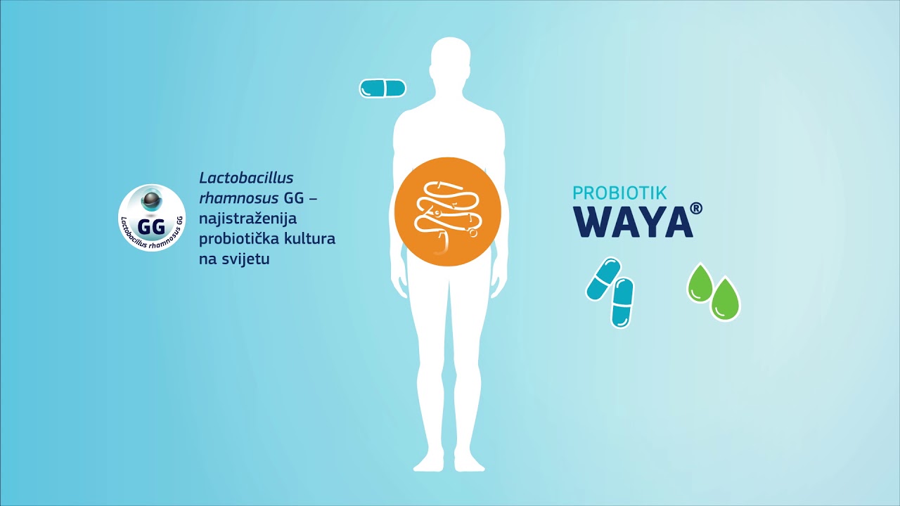 Probiotik WAYA - Pravi put do regulisane probave
