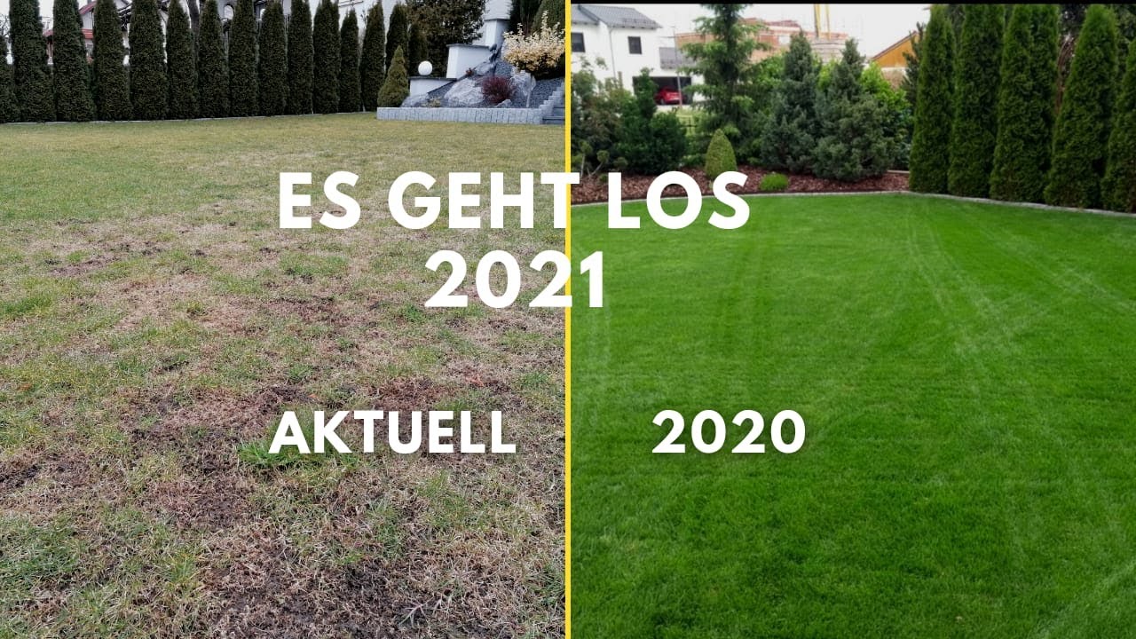 RICHTIG in die RASENSAISON STARTEN. Der Weg zum perfekten Gr&uuml;n.