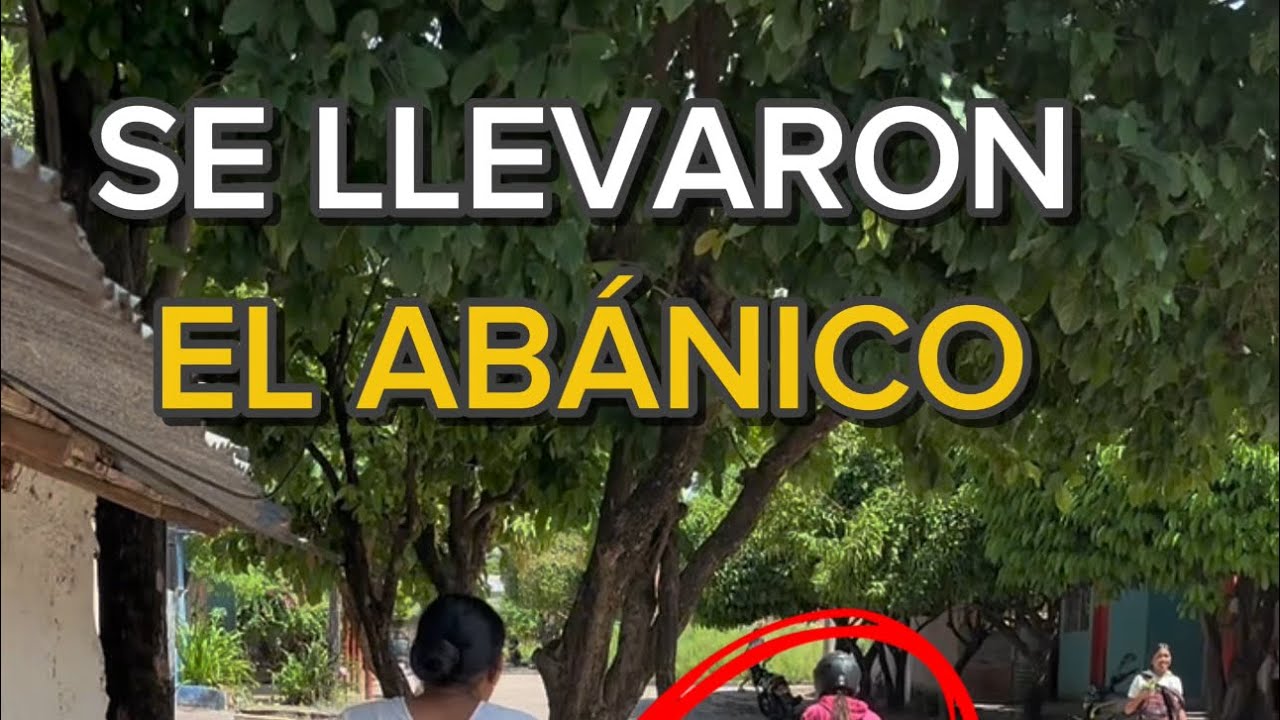 Se le llevan el abanico a mi mamá 😂😂