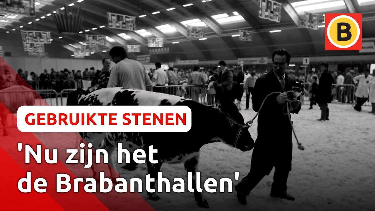 Terug in de tijd: de Veemarkthallen in Den Bosch | Gebruikte stenen