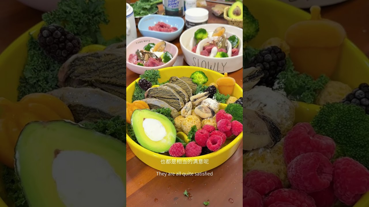 Meal diary of a pet family Today the puppy and kitten eat Turkey breast stinky lamb tripe
