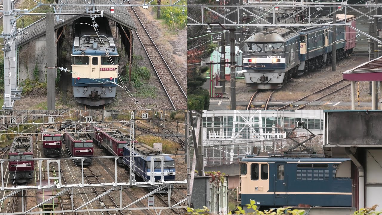 【JR貨物】新鶴見機関区でEF65PFウォッチ【2025年11月25日】