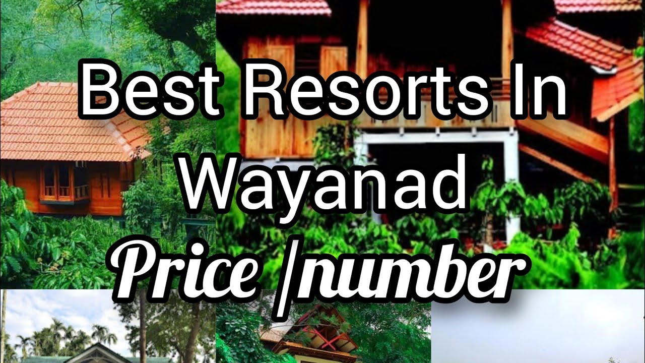 Best Resorts In Wayanad /price /contact number /part/10#wayanad #wayanadresort