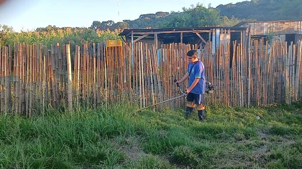 Olá pessoal hoje o Guilherme está rosçando o lote município de freirogerio sc 