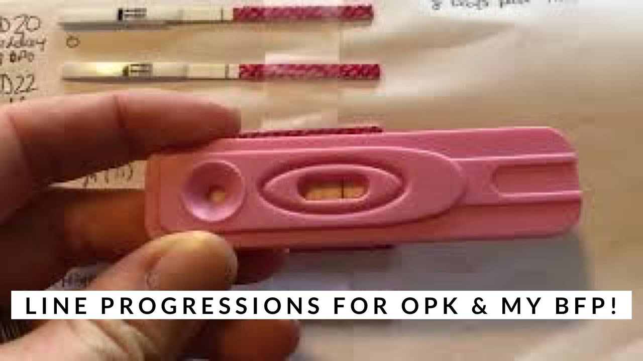 TTC - Line Progressions - OPK & BFP