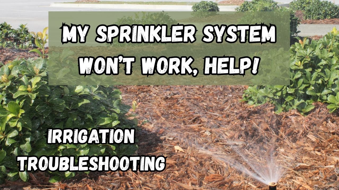 Entire Sprinkler System Won't Work | Irrigation Troubleshooting