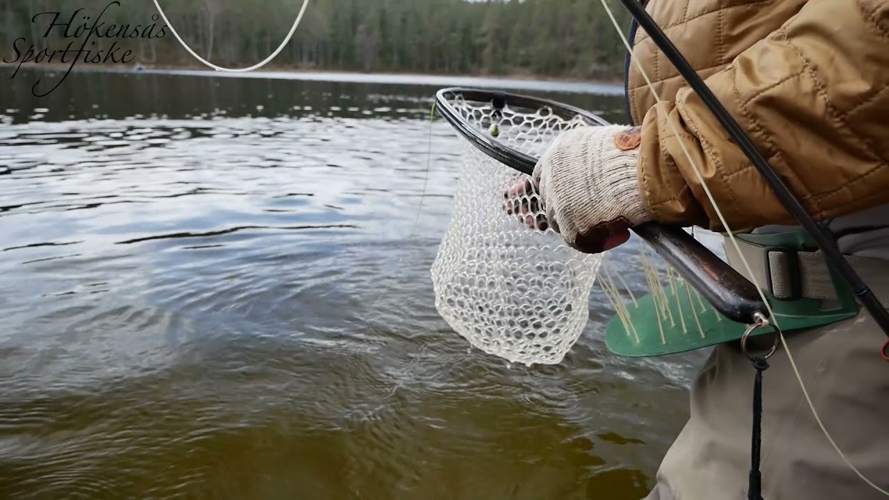 Hökensås Sportfiske - Fiske i Baltak & sjöarna (Samarbete med Forshagaakademin)