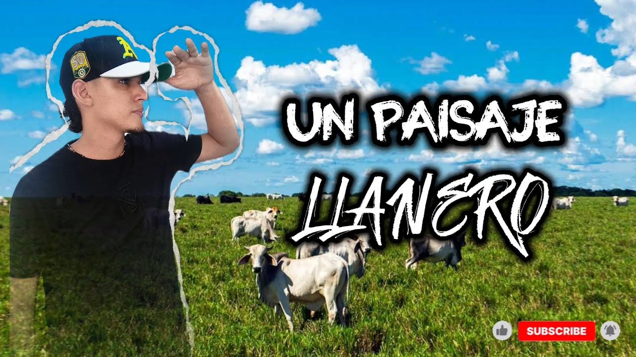 Un paisaje llanero: un viaje a la historia, cultura y tradiciones de los llanos orientales.