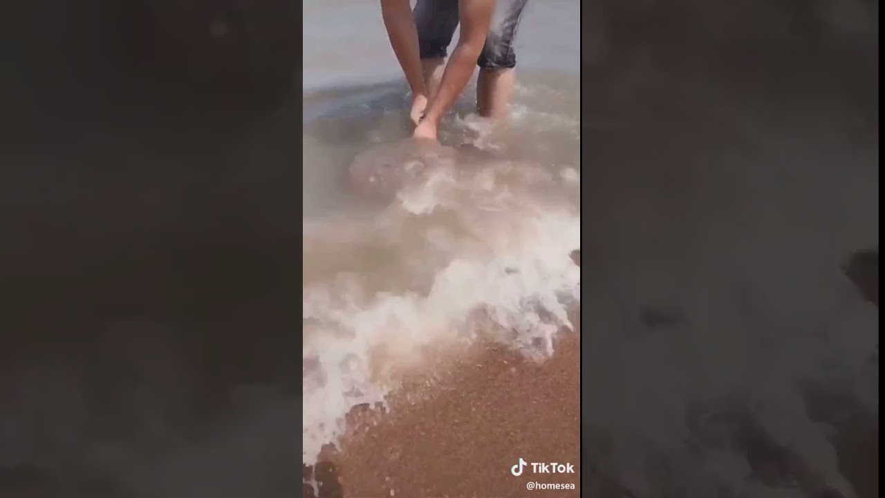 How to find crabs at the beach